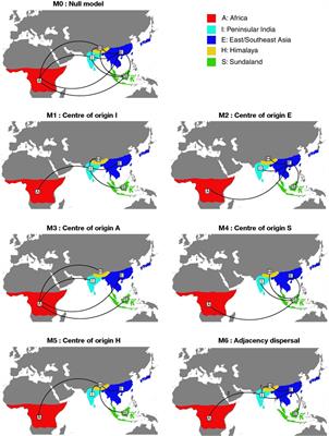Diversification and biogeography of Rhacophoridae – a model testing approach